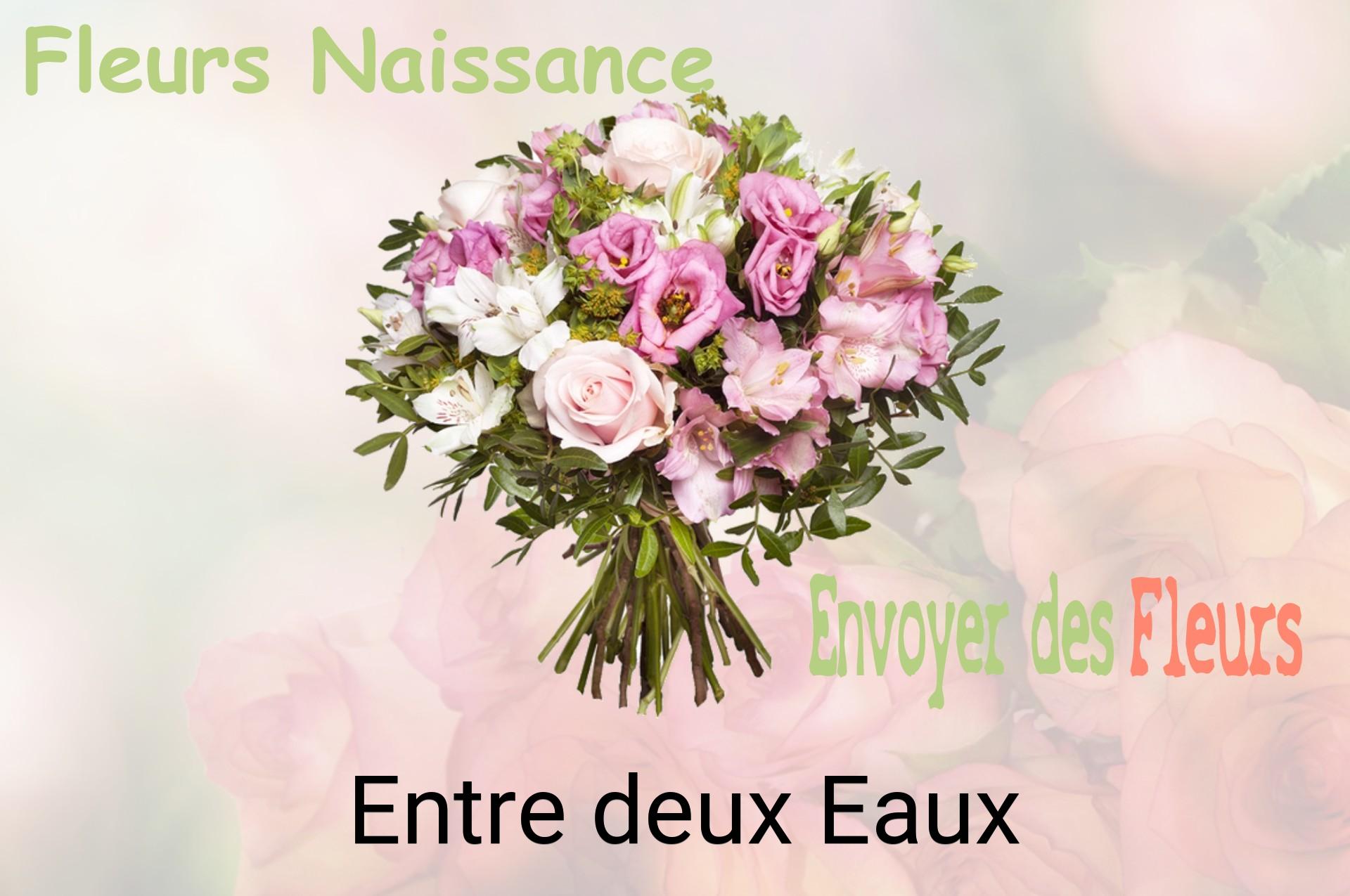 Bouquet de fleurs de naissance livré à Entre-deux-Eaux